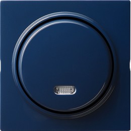 015346 Кнопочный выключатель для малого напряжения до 42 В с подсветкой Синий Gira S-color