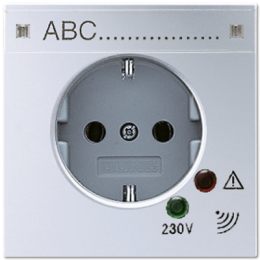 AL2521KINAUF SCHUKO-роз., шторки, стаб. напр., поле д/надписи Jung LS серия