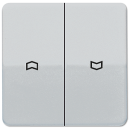 CD595PPT CD 500/CD plus Платина Клавиша 2-я жалюзийная Jung