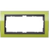 1002748 Рамка без перегородки Event Clear Зеленый / Черный 2-постовая Gira