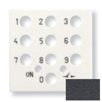N2253.5 AN Накладка для механизма выключателя с кодовой панелью, 2-модульная, серия Zenit, цвет антрацит, ABB