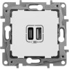 672236 Зарядное устройство с двумя USB-разьемами тип A-тип С 240В/5В 3000мА - Etika - Цвет Белый Legrand