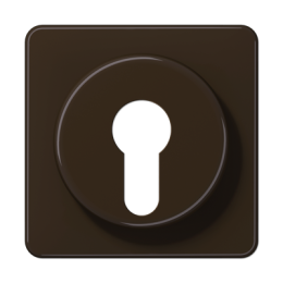 CD528BR Крышка для выключателя с замком, кор. Jung