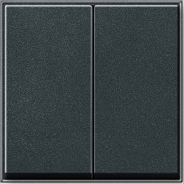 029567 Клавиша двойная Антрацит Gira TX44