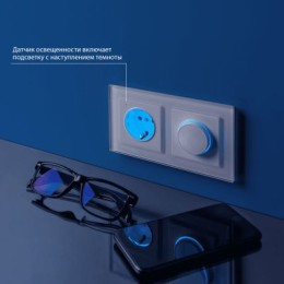 WL01-10-03 Розетка с заземлением и подсветкой (белая) Antik Werkel a041316