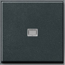 029067 Клавиша с подсветкой Антрацит Gira TX44