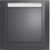 10119969 Рамка с полем для надписей S.1 Антрацит с блеском 1-постовая Berker