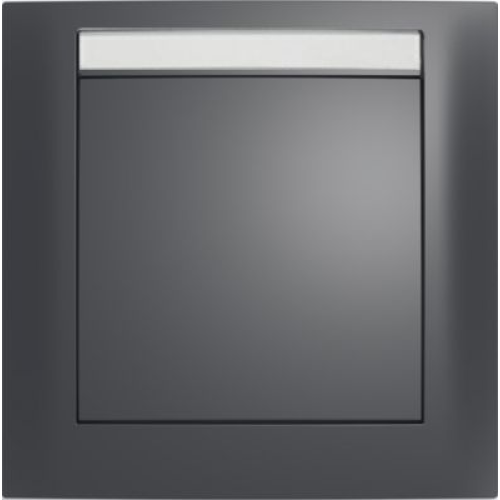 10119969 Рамка с полем для надписей S.1 Антрацит с блеском 1-постовая Berker