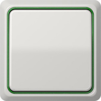 CDP81GNM Рамка внутренняя CD Plus Зеленый металлизированный 1-постовая Jung