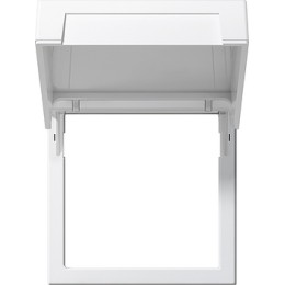 265803 Монтажные рамки с крышкой System 55 белый Белый Gira