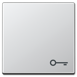 A590TAL А 500 Алюминий Клавиша 1-я с символом "КЛЮЧ" Jung A серия