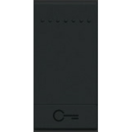 L4915FN LivingLight Клавиша Ключ, размер 1 модуль Bticino