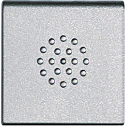 NT4916DP LivingLight клавиша дв.кнопки алю. Bticino