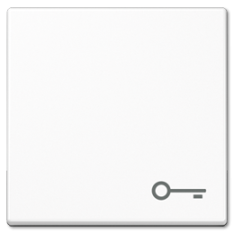 A590TWW А 500 Белый Клавиша 1-я с символом "КЛЮЧ" Jung A серия