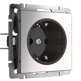 WL02-SKG-01-IP20 Розетка с заземлением (глянцевый никель) Antik Werkel a034176