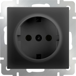 WL08-SKG-01-IP20 Розетка с заземлением  (черный матовый) Antik Werkel a029860