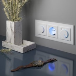 WL01-10-03 Розетка с заземлением и подсветкой (белая) Antik Werkel a041316