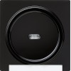 067047 Одинарная клавиша с подсветкой и полем для надписи Черный Gira S-color