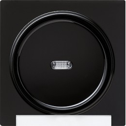067047 Одинарная клавиша с подсветкой и полем для надписи Черный Gira S-color