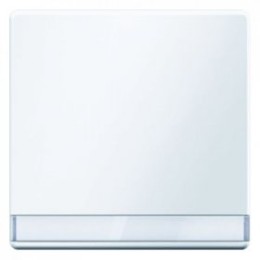 16266089 Клавиша с полем для надписей цвет: полярная белизна, с эффектом бархата, Q.1 Berker