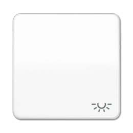 CD590LWW CD 500/CD plus Белый Клавиша 1-я с символом "ОСВЕЩЕНИЕ" Jung