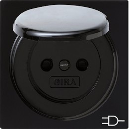 045447 Розетка с заземляющими контактами и крышкой Черный Gira S-color