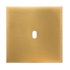 90G43900 Fontini 5.1 Четверная панель для немецкой розетки+немецкой розетки+двойной RJ45+TV оконечная, SATIN MATT GOLDEN 90G43900 Fontini 5.1 Четверная панель для немецкой розетки+немецкой розетки+двойной RJ45+TV оконечная, SATIN MATT GOLDEN