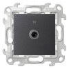 2450477-038 ТВ розетка одиночная, графит Simon 24