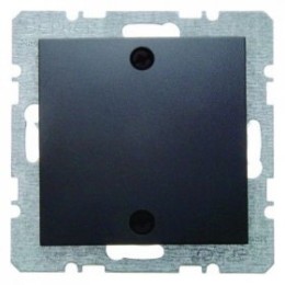 10091616 Заглушка с центральной панелью и винтовым креплением цвет: антрацит, матовый B.1/B.3/B.7 Glas Berker