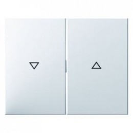 14357109 Клавиши с оттиском Стрелка цвет: полярная белизна, с блеском K.1 Berker