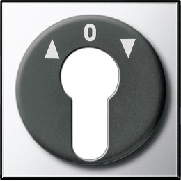 0664605 Накладка выключателя с ключом Хром Хром Gira