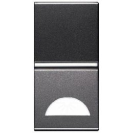 N2101.9 AN Клавиша 1-клавишного 1-модульного выключателя/переключателя/кнопки с окном для шильдика с символом, серия Zenit, цвет антрацит, ABB