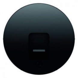 11702045 Центральная панель с заслонкой от пыли и полем для надписи, R.1, цвет: черный Berker