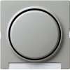 029942 Одинарная клавиша с полем для надписи Серый Gira S-color