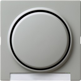029942 Одинарная клавиша с полем для надписи Серый Gira S-color