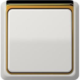 CDP82GGO Рамка внешняя CD Plus Полированное золото 1-постовая Jung