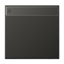 AL2990NAAN LS 990 Антрацит Клавиша 1-я с полем для надписи  Jung LS серия