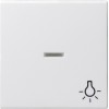 067427 Клавиша с пиктограммой "Свет" и контрольным окном белый матовый Белый Gira