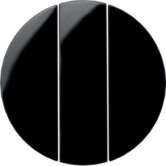 16652045 Клавиши для трехклавишного выключателя, R.1/R.3, цвет: черный Berker