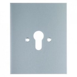 1904 Металлическая накладка Водозащита IP44 Berker