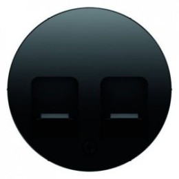 11812045 Центральная панель с заслонками от пыли и полем для надписи, R.1, цвет: черный Berker