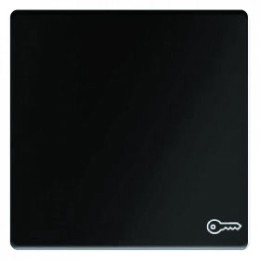 16206066 Клавишный выключатель Berker