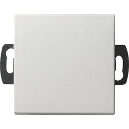 013827 Кнопочный выключатель для малого напряжения до 42 В Белый Gira