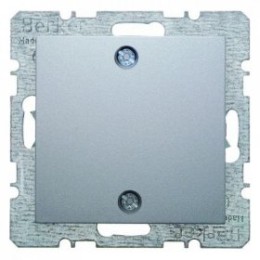 10091414 Заглушка с центральной панелью и винтовым креплением цвет: алюминий, матовый B.1/B.7 Glas Berker