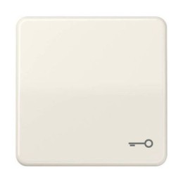 CD590BFT CD ударопр. Бежевый Клавиша для 1-я с символом "КЛЮЧ" Jung