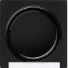 029947 Одинарная клавиша с полем для надписи Черный Gira S-color