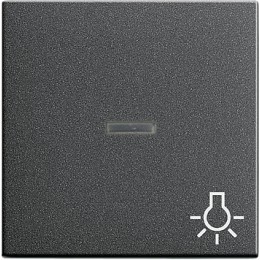067428 Клавиша с пиктограммой "Свет" и контрольным окном Антрацит Gira