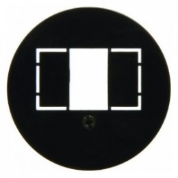 104001 Центральная панель для розетки TAE цвет: черный, с блеском серия 1930, Glasserie, Palazzo Berker