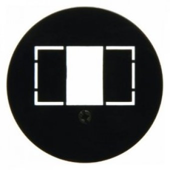 104001 Центральная панель для розетки TAE цвет: черный, с блеском серия 1930, Glasserie, Palazzo Berker