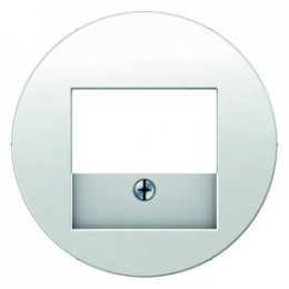 6810332089 Центральная панель для розетки TDO, R.1/R.3, цвет: полярная белизна Berker